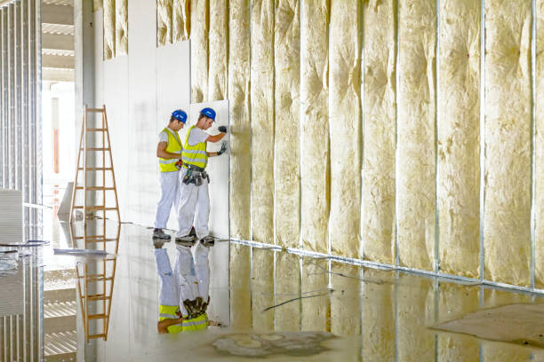 Best Blown-in Insulation in Louisvle, IL